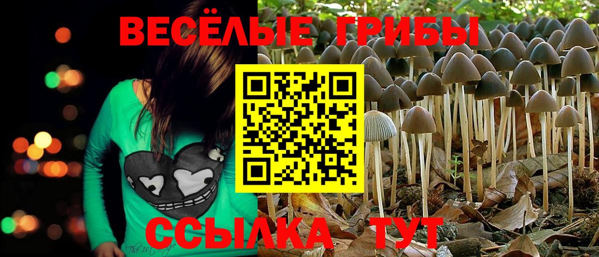 Псилоцибиновые грибы Cubensis  Вход с VPN  Минеральные Воды 